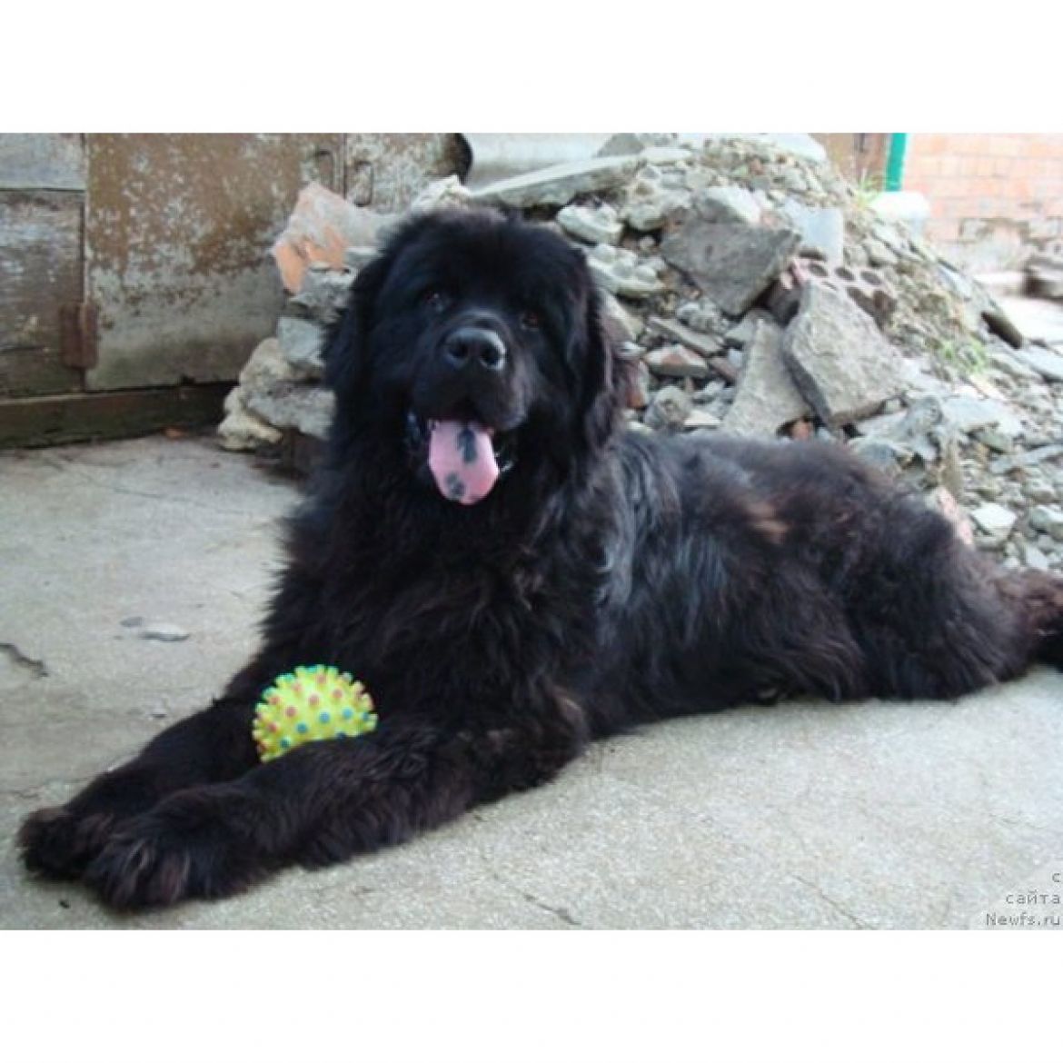 R Zatscharovannij Mir s Berega Dona (14-10-2006)